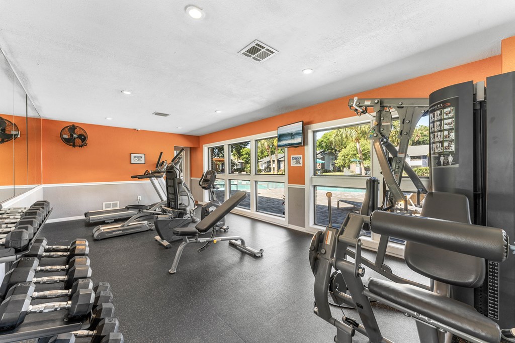 the gym at 1861 muleshoe road has cardio equipment and windows