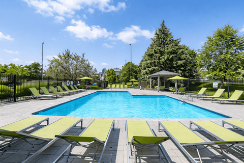 A large swimming pool surrounded by sun loungers and trees.
