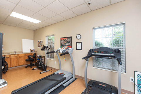 the exercise room is equipped with treadmills and other fitness equipment