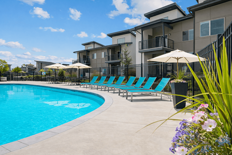 A swimming pool with blue water and a row of lounge chairs.
