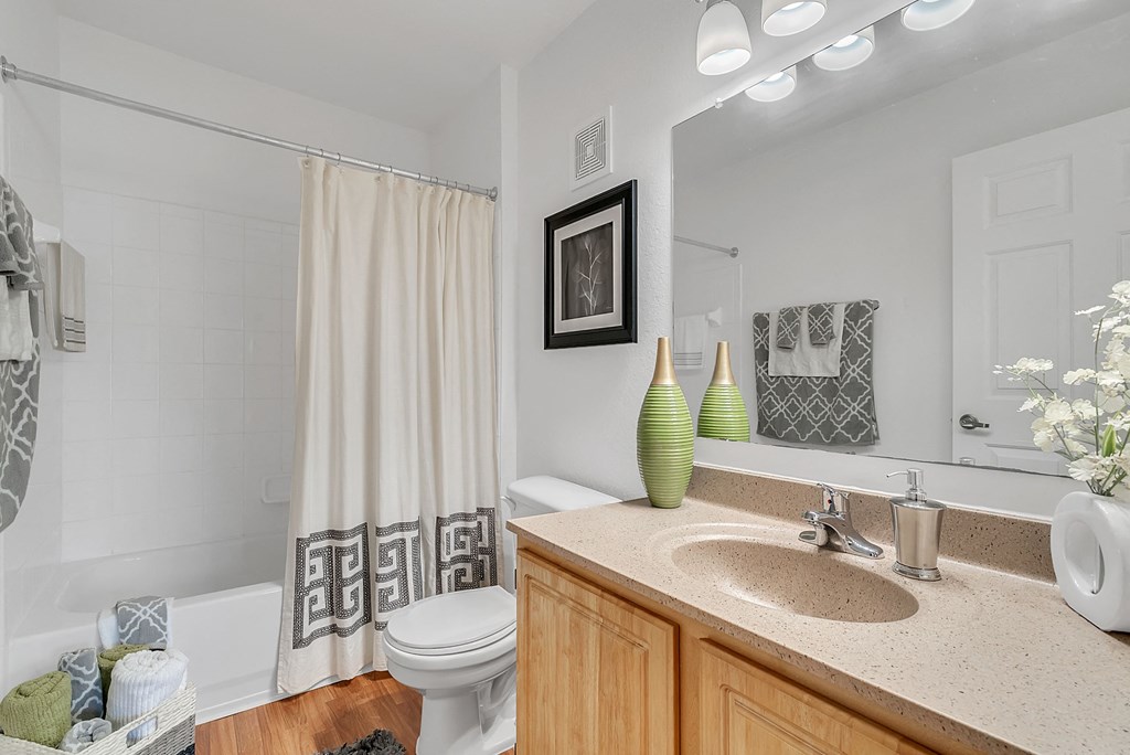 a bathroom with a sink and a toilet and a shower