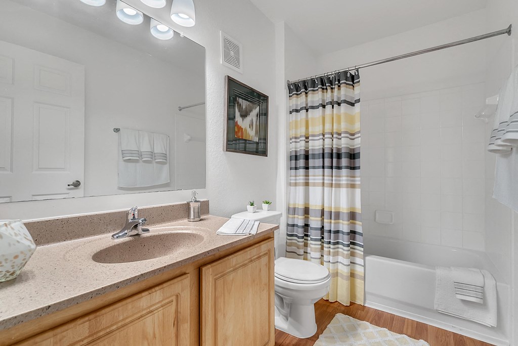 a bathroom with a sink and a toilet and a shower