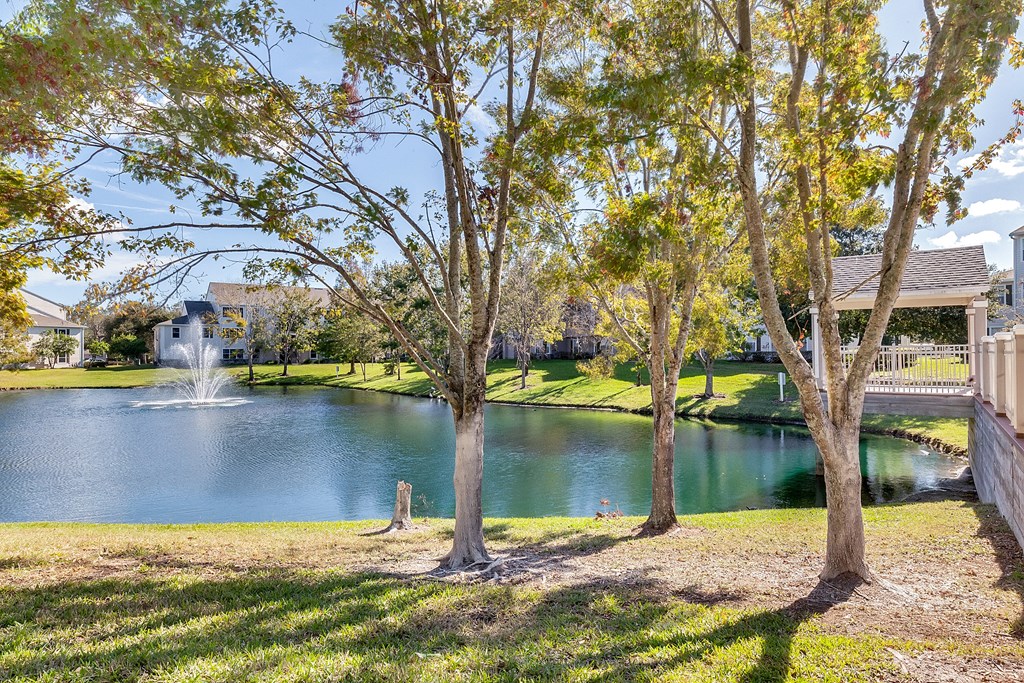 a view of a pond with trees and a fountain