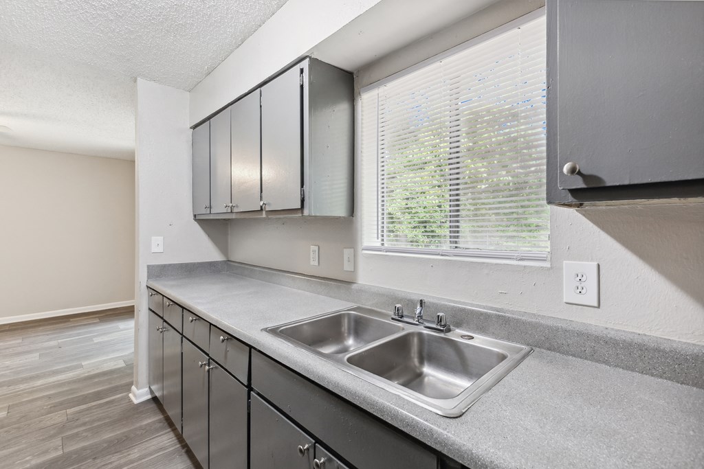 A kitchen with a sink and cabinets.