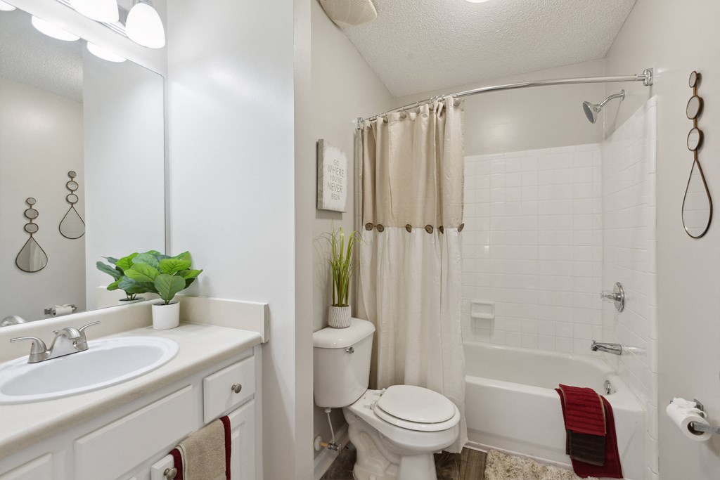 a bathroom with a shower toilet and sink and a mirror