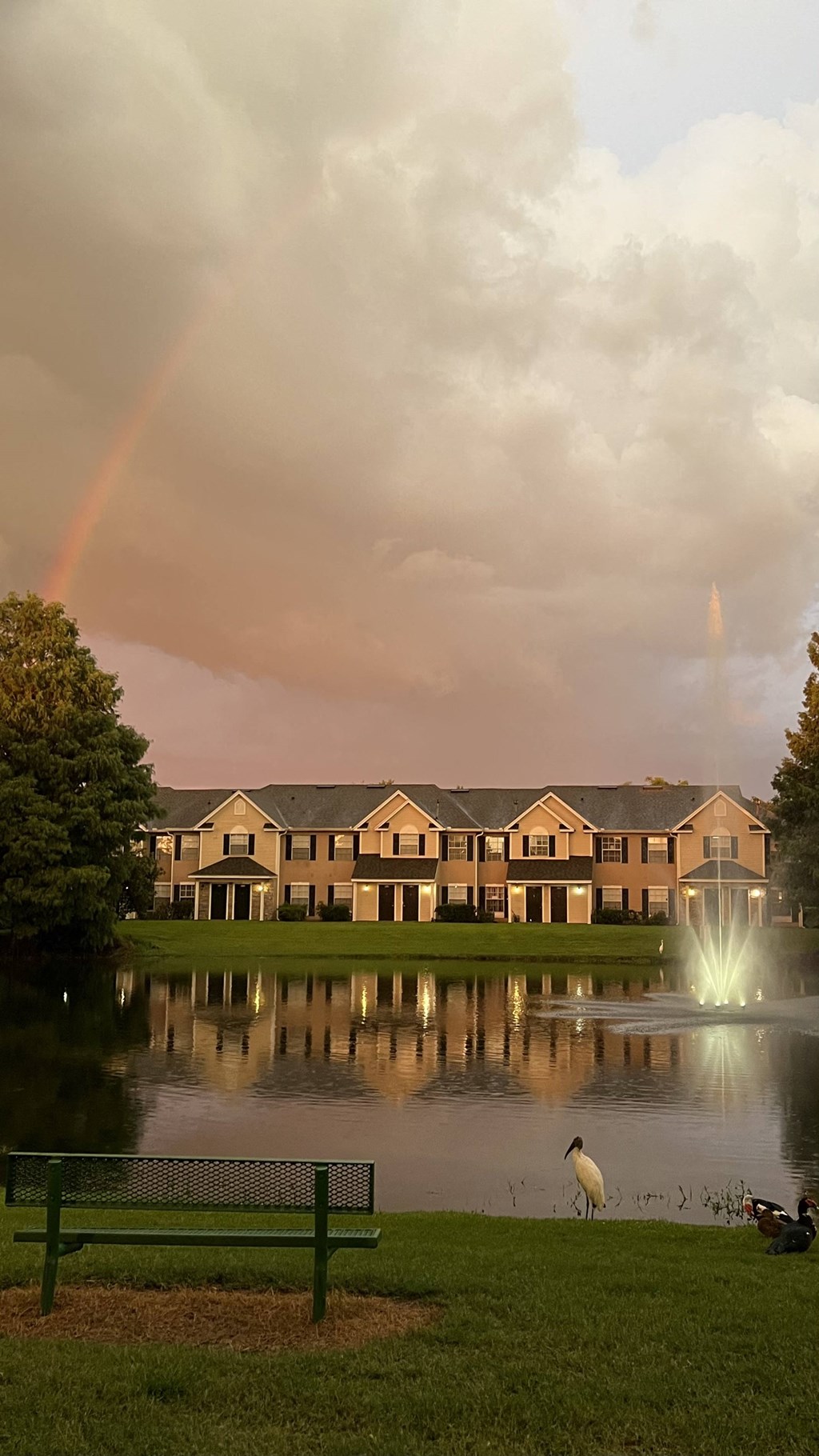 a rainbow over a pond in front of a building