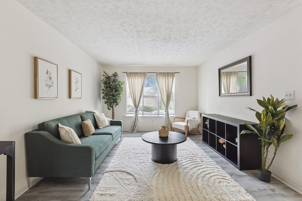 a living room with a green couch and a rug