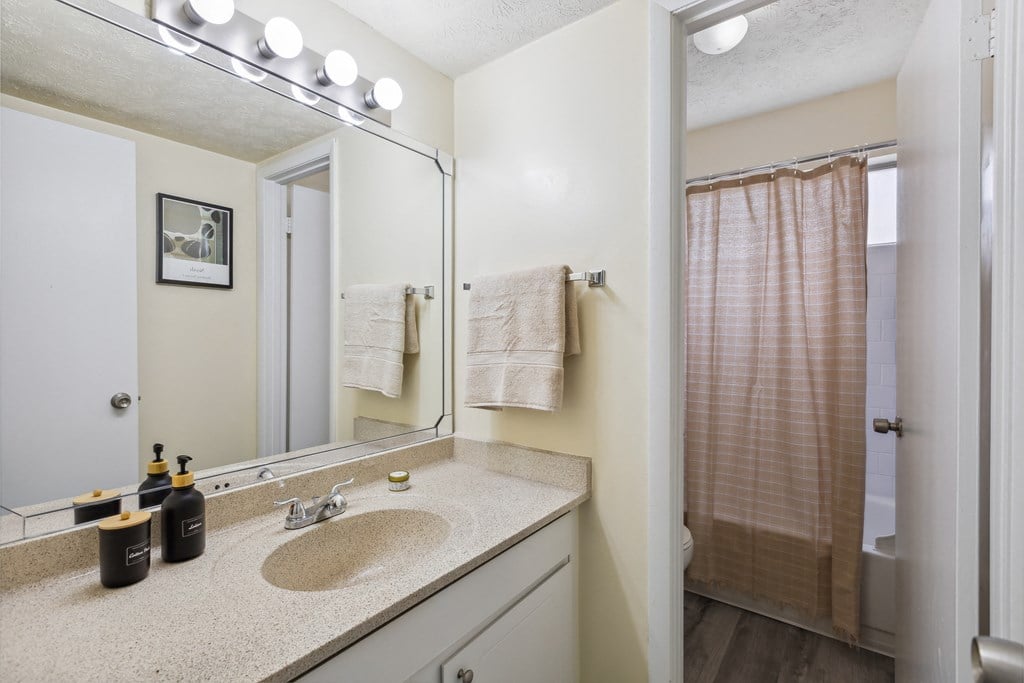 a bathroom with a sink and a mirror and a shower