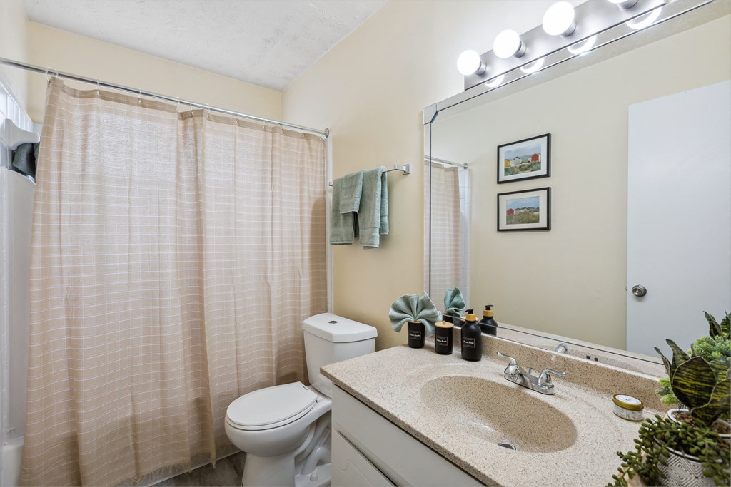 a bathroom with a shower toilet and sink and a mirror