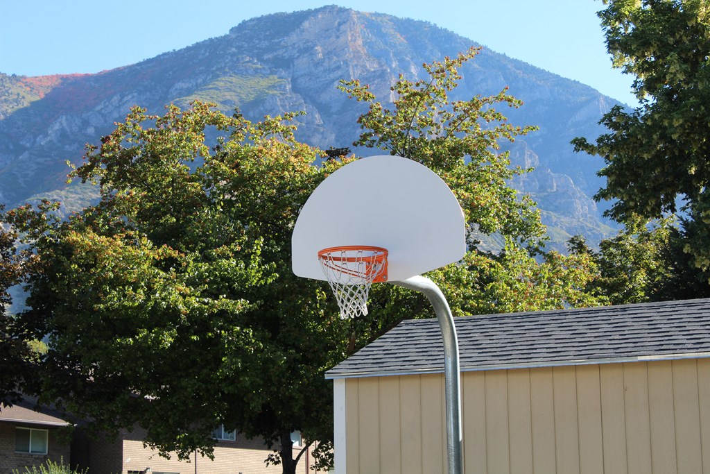 a basketball hoop with a mountain in the background