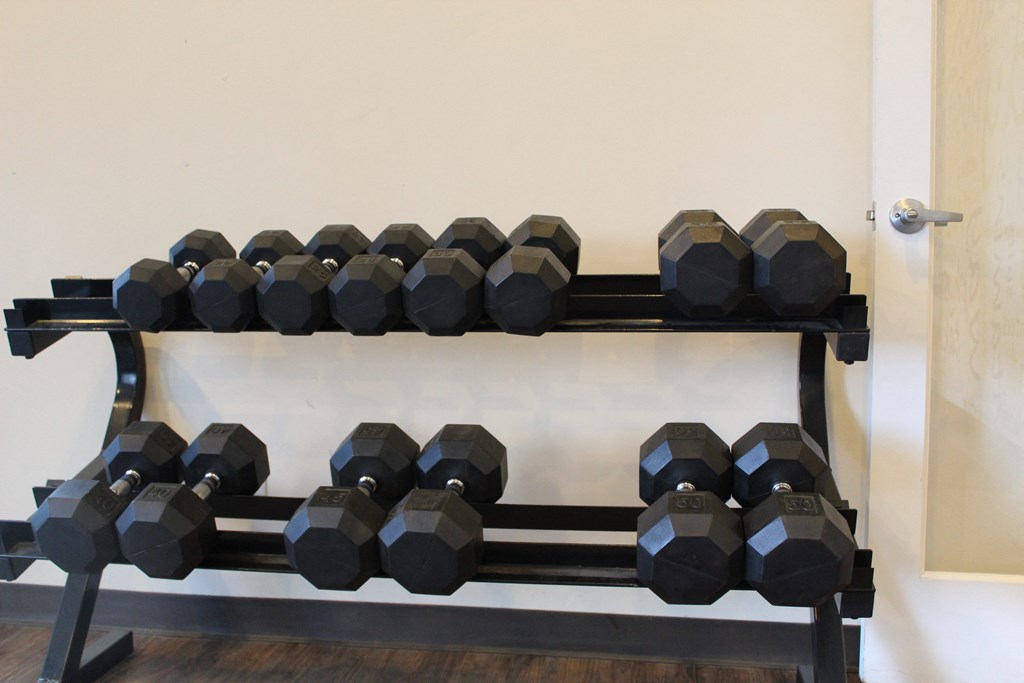 a rack of dumbbells in a gym