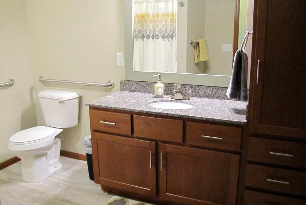 a bathroom with a sink and a toilet and a mirror