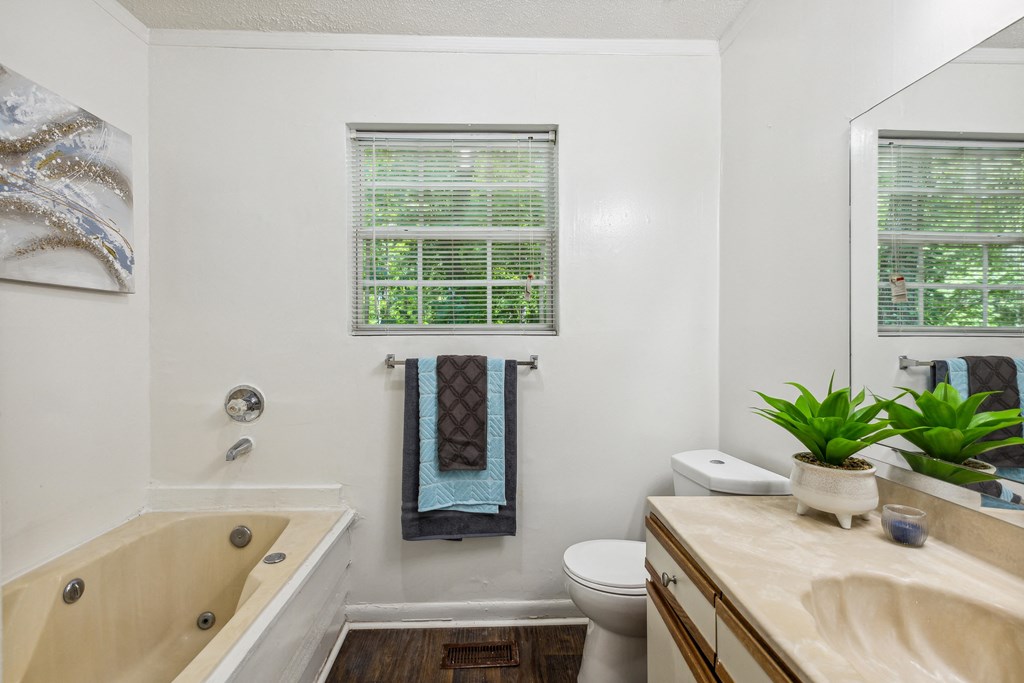 a bathroom with a tub and a toilet and a sink