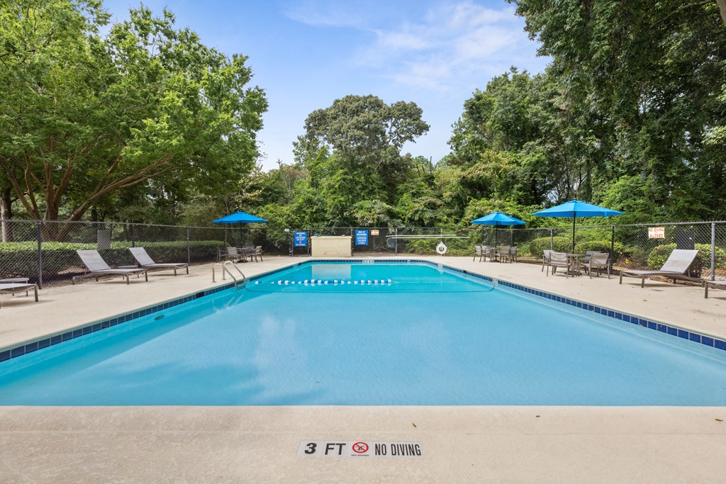 a swimming pool with chairs and umbrellas and trees