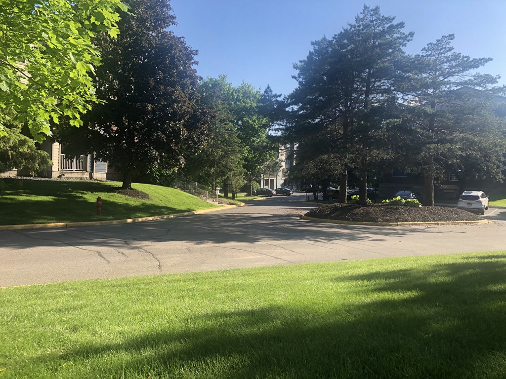 a city street with trees and grass on both sides of it
