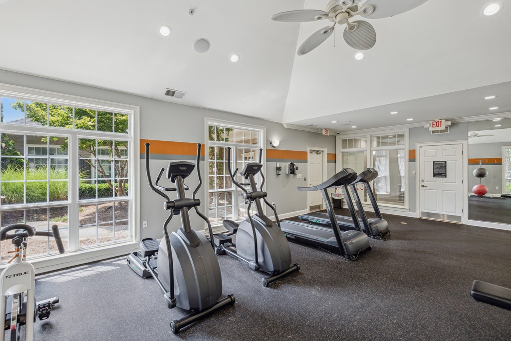 the gym at 1861 muleshoe road