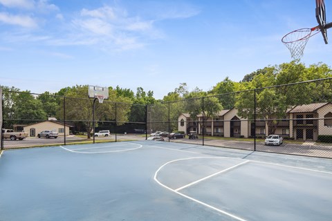 A basketball court with a hoop and a net.