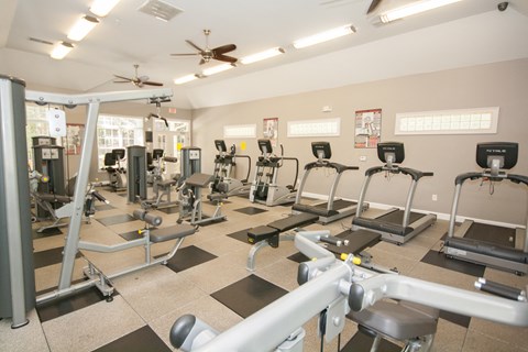 A gym with a variety of exercise equipment.