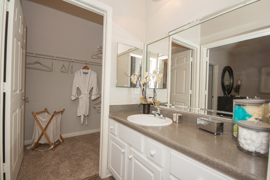 a bathroom with a sink and a large mirror