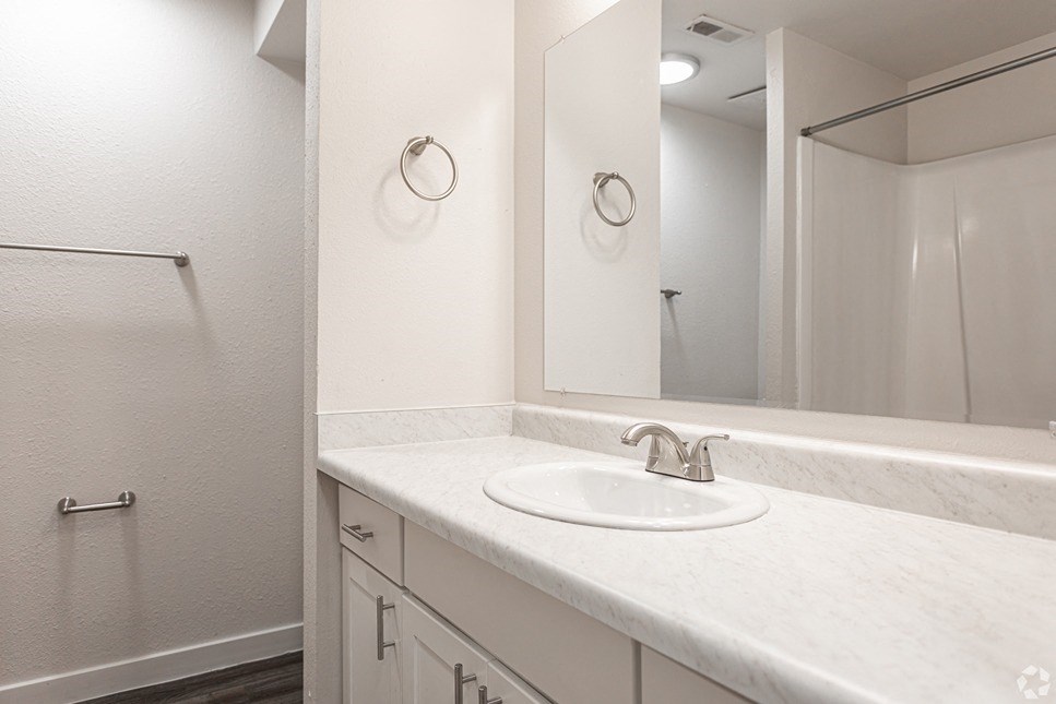 a bathroom with a sink and a mirror