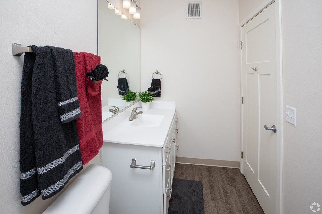 a bathroom with a sink and a mirror and a towel rack