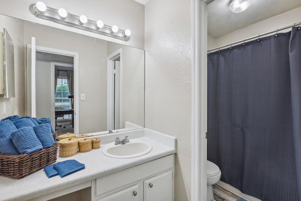 a bathroom with a sink and a shower and a mirror