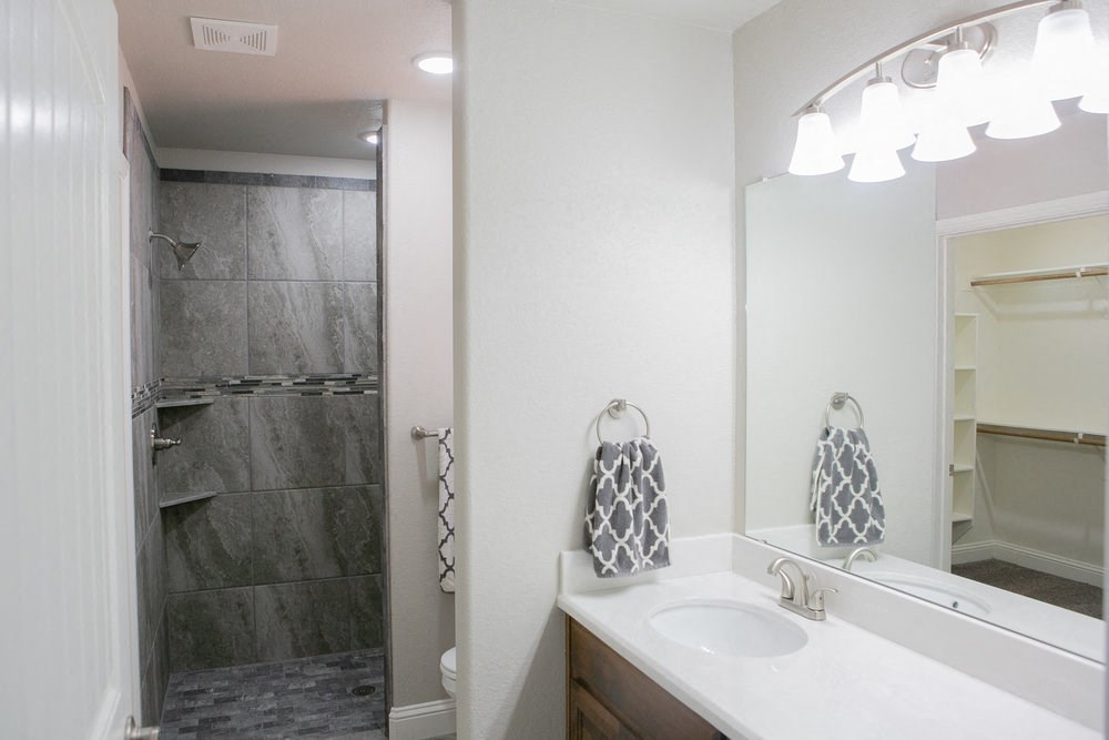 a bathroom with a sink and a shower and a mirror