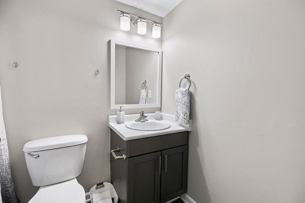 a bathroom with a sink and a toilet and a mirror