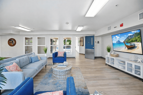 A living room with a grey sofa and a blue armchair.