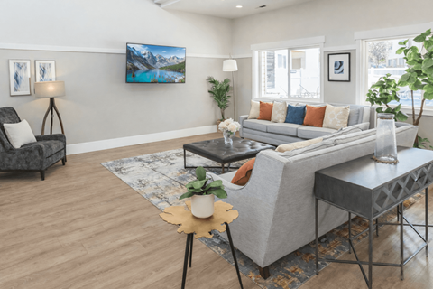 A living room with a grey sofa, a grey armchair, a coffee table, and a rug.