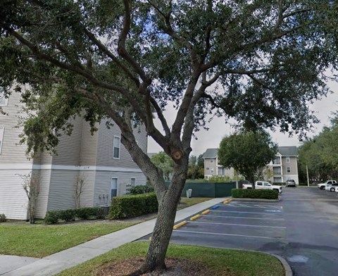 parking and building