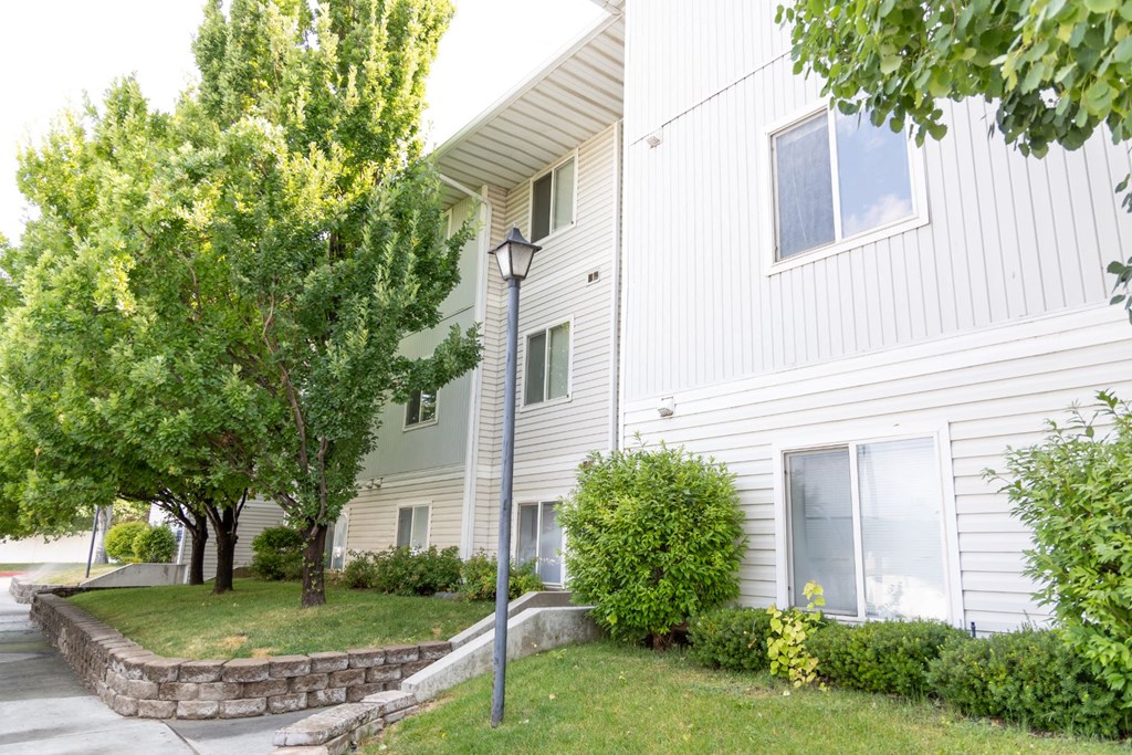 the front of a white house with a lawn and trees