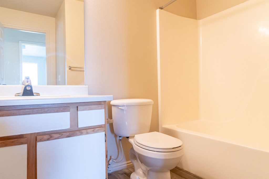 a bathroom with a toilet and a sink and a bath tub