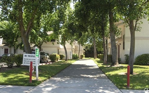 a tree lined sidewalk in front of an apartment building