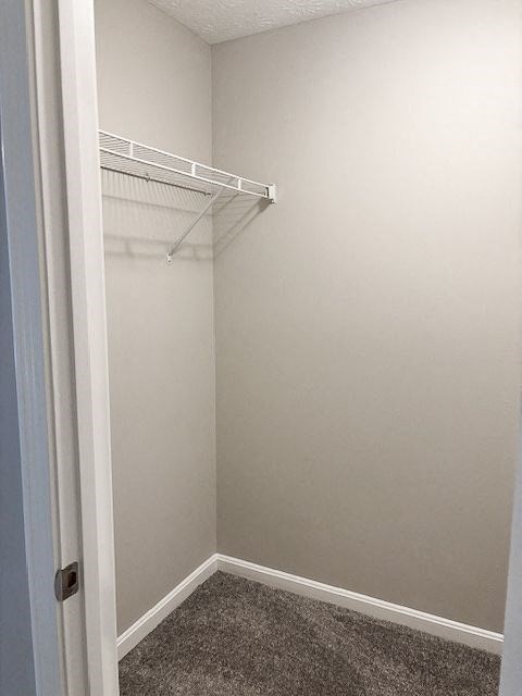 A white closet with a carpeted floor and a white door.