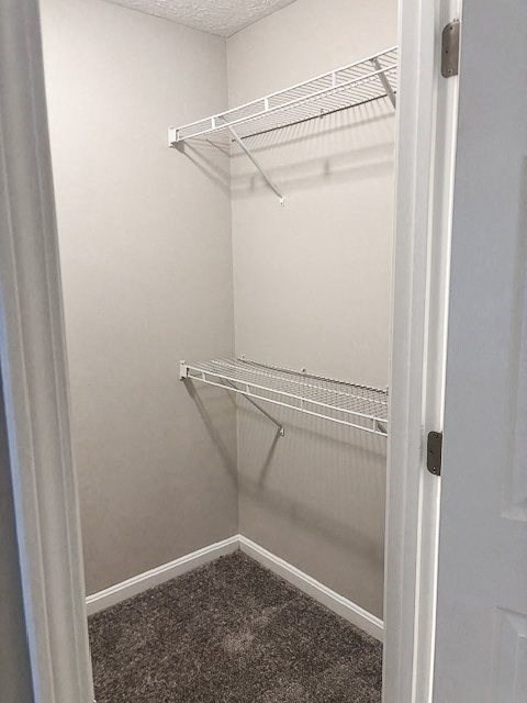 A white closet with a carpeted floor and a white door.