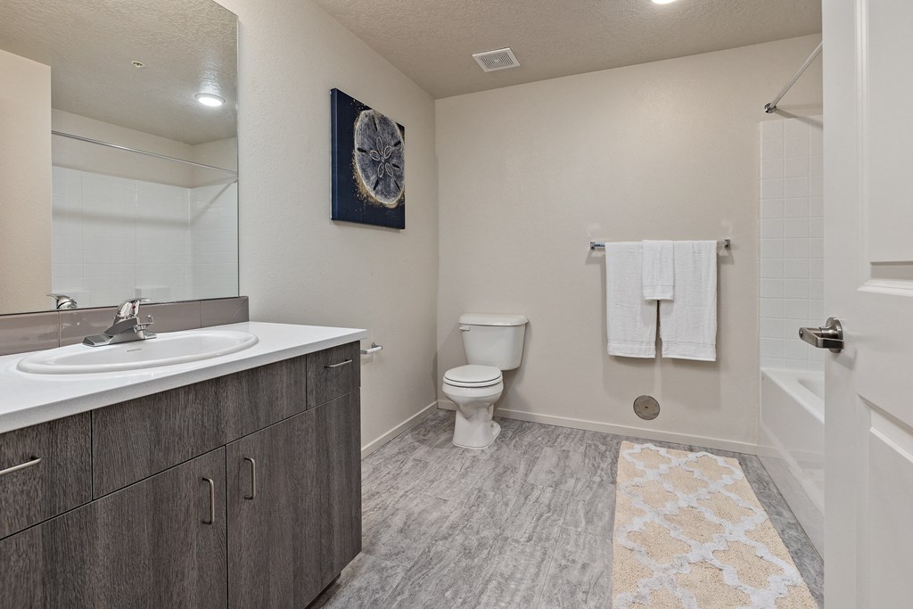 Luxurious Bathroom at Silver Ridge, Meridian, ID, 83642