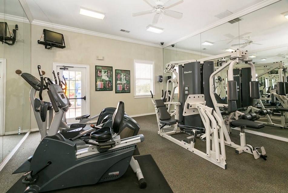 the gym is equipped with cardio equipment and weights