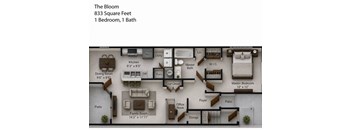 A floor plan of a one bedroom apartment named The Bloom.