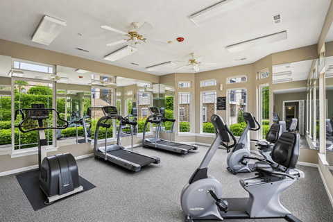 A gym with treadmills, elliptical machines, and a fan.
