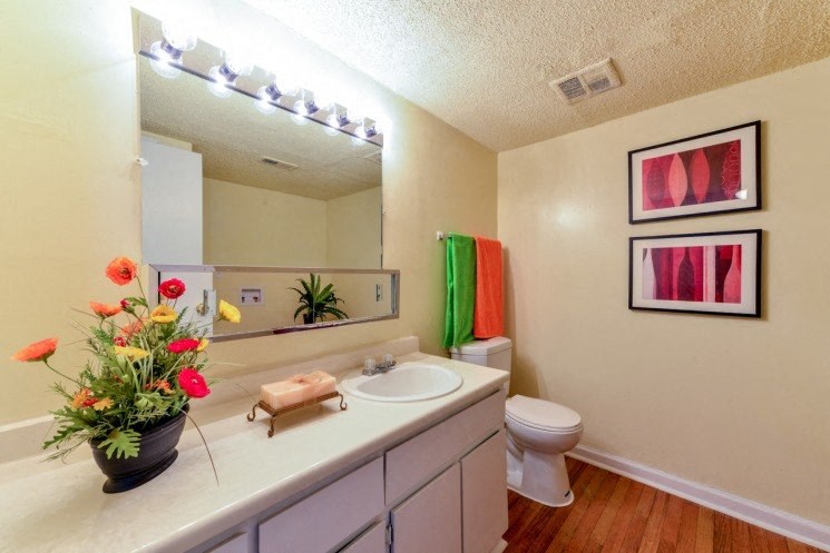 The Village at Wesley Chapel Model Bathroom