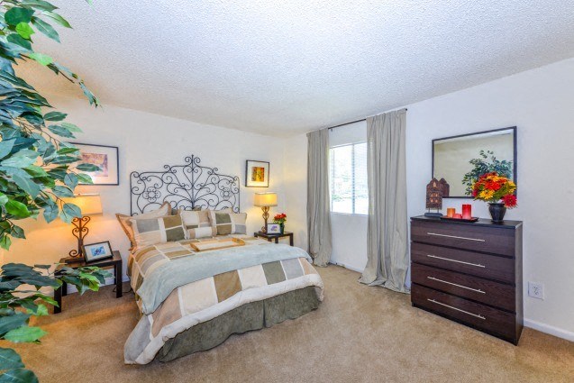 The Village at Wesley Chapel Model Bedroom