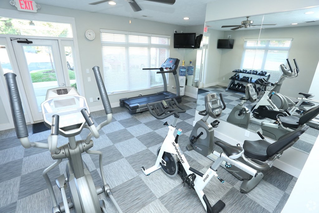 the gym is equipped with a variety of weights and cardio equipment