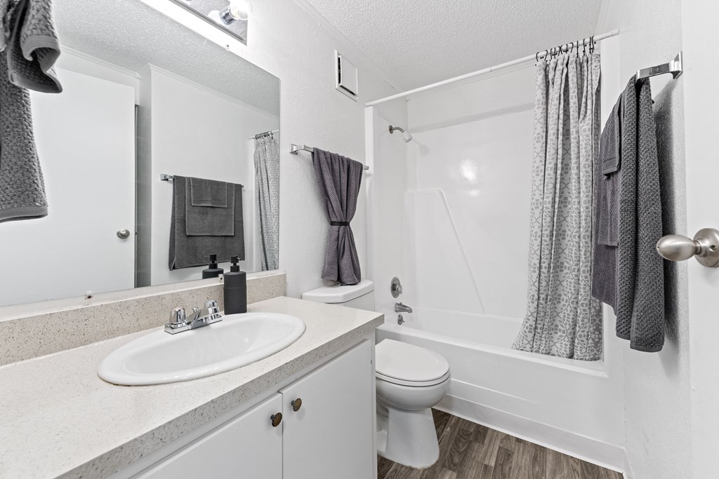 a bathroom with a sink and a toilet and a shower