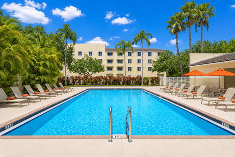 A large swimming pool surrounded by lounge chairs and palm trees.