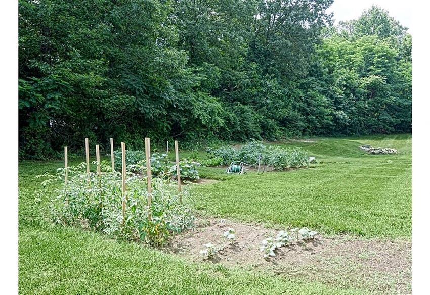 a vegetable garden in the middle of a field
