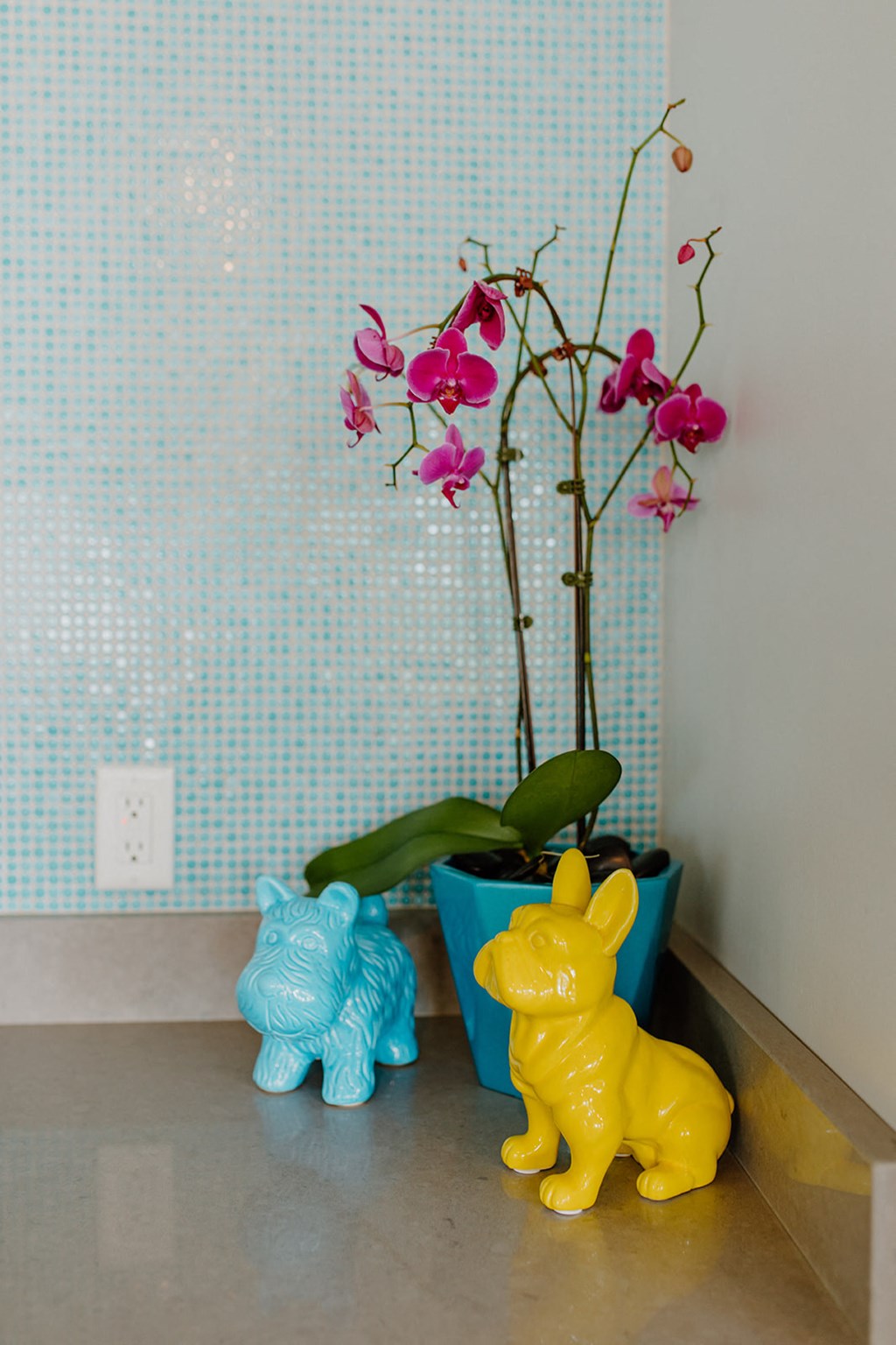 Small Toys at Hello Apartments, Minneapolis, Minnesota