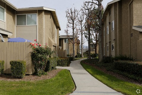 a sidewalk between two apartment buildings with grass and trees
