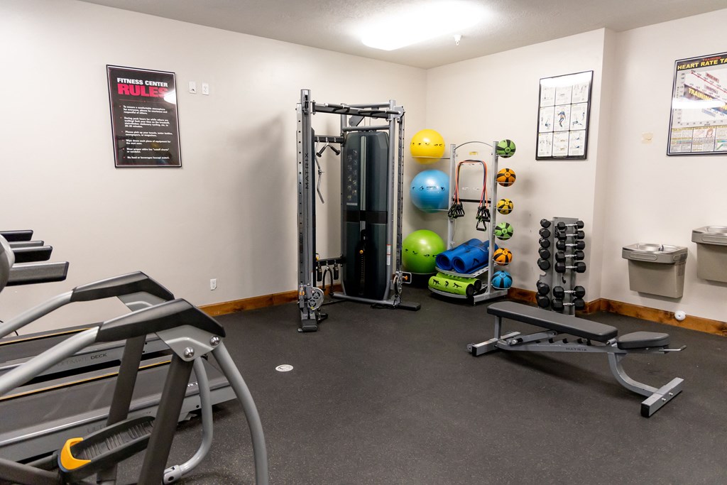 gym with weights and cardio equipment at the monarchane apartments