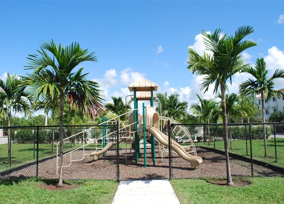 a playground with slides in a park with palm trees